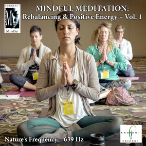 收聽Current的Mindful Meditations - Rebalancing & Positive Energy, Vol. 1歌詞歌曲