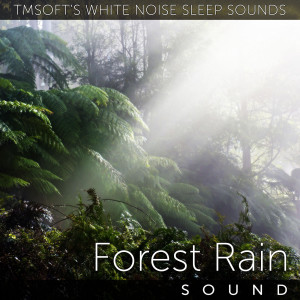 收聽Tmsoft's White Noise Sleep Sounds的Forest Rain Sound歌詞歌曲