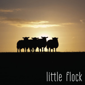 Listen to Thanks song with lyrics from Little Flock