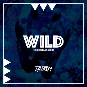 收聽Tantrum的Wild歌詞歌曲