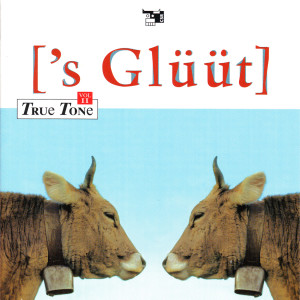 收听s Glüüt的Wannelen, Schöchental, Ur歌词歌曲