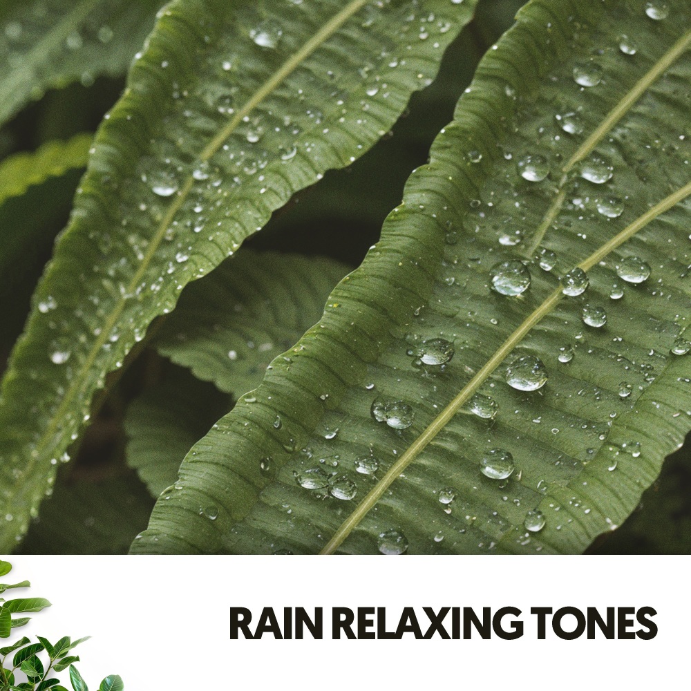 Lullaby of Raindrops