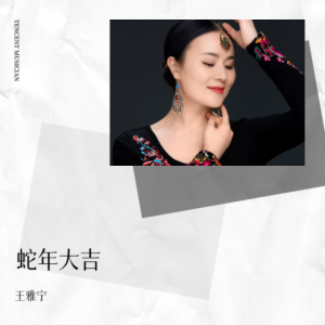 Album 蛇年大吉 from 王雅宁
