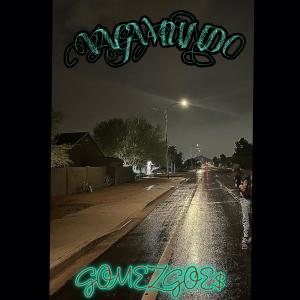 收聽GomezGoe$的risk (Explicit)歌詞歌曲