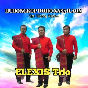 Elexis Trio的专辑HUHOKKOP DOHO NASAILAON