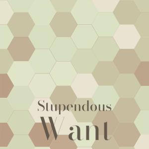 Album Stupendous Want from Various