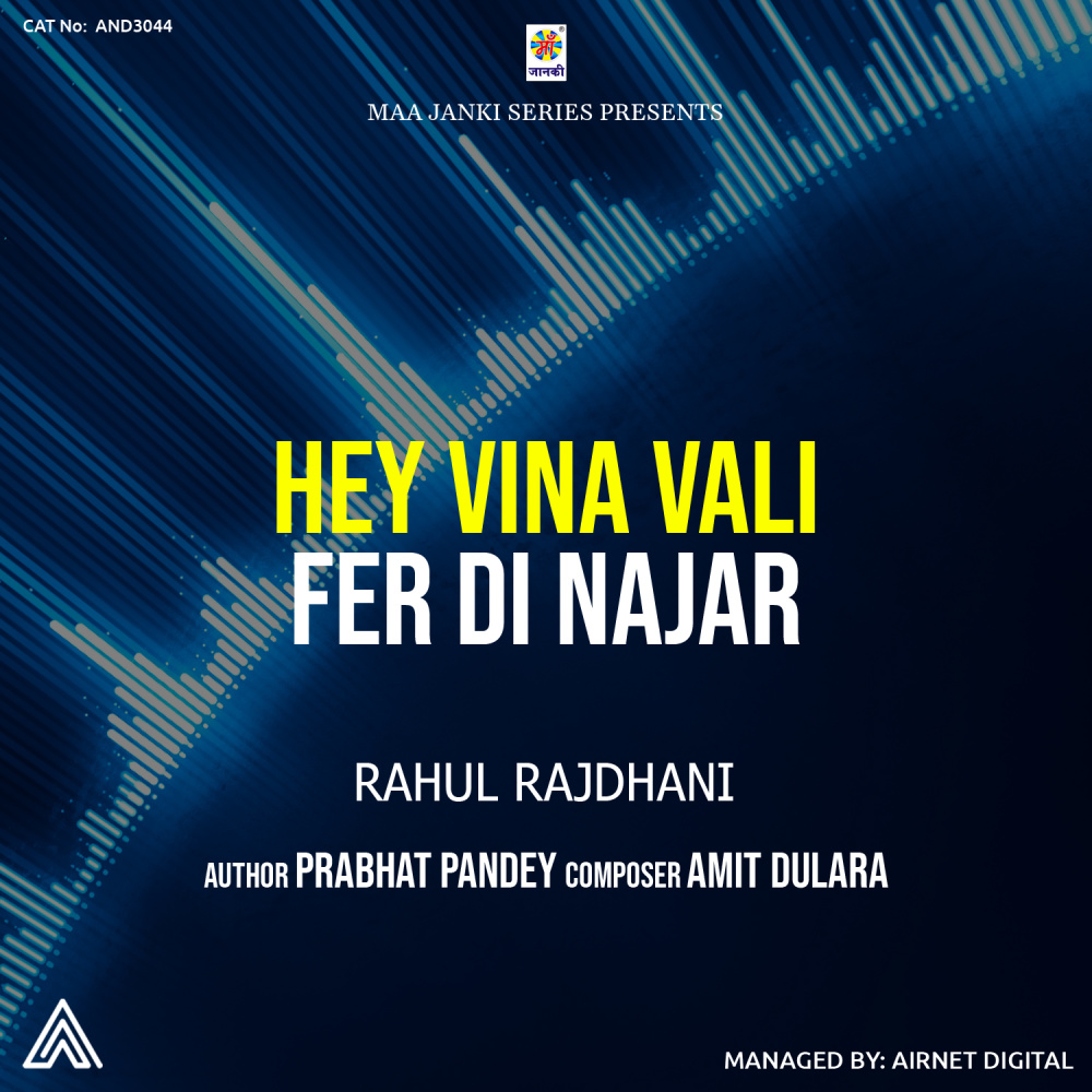 Hey Vina Vali Fer Di Najar