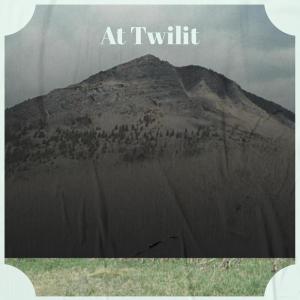 อัลบัม At Twilit ศิลปิน Various