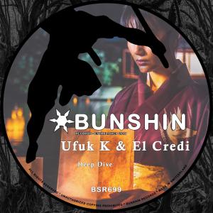 Listen to Deep Dive song with lyrics from Ufuk K
