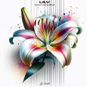 อัลบัม Lily (Instrumental) ศิลปิน DJ Concito