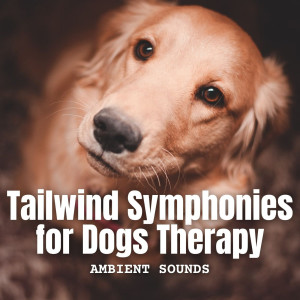 Ambient Sounds: Tailwind Symphonies for Dogs Therapy dari Chill My Pooch