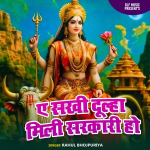 Album A Sakhi Dulha Mili Sarkari Ho from 