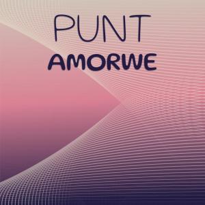 Various Artists的专辑Punt Amorwe