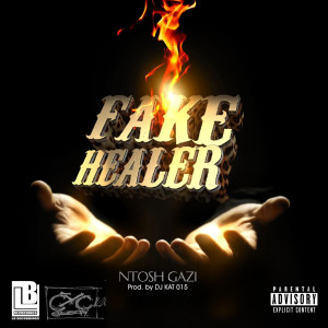 Listen to Fake Healer song with lyrics from Ntosh Gazi