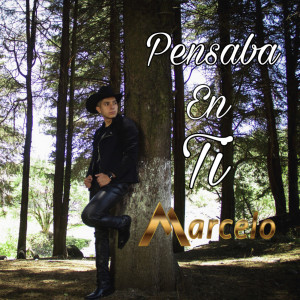 ดาวน์โหลดและฟังเพลง Pensaba en Ti พร้อมเนื้อเพลงจาก Marcelo