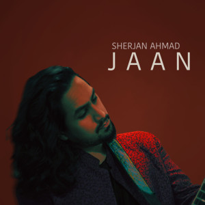 Listen to Dil Mein Pakistan song with lyrics from Sherjan Ahmad