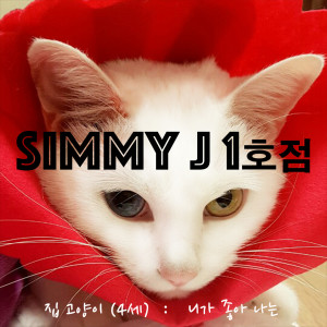收聽시미제이1호점(SimmyJ1호점)的喜歡你歌詞歌曲