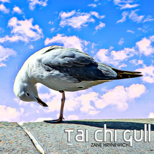 Listen to Tai Chi Gull song with lyrics from Zane Hrynewich