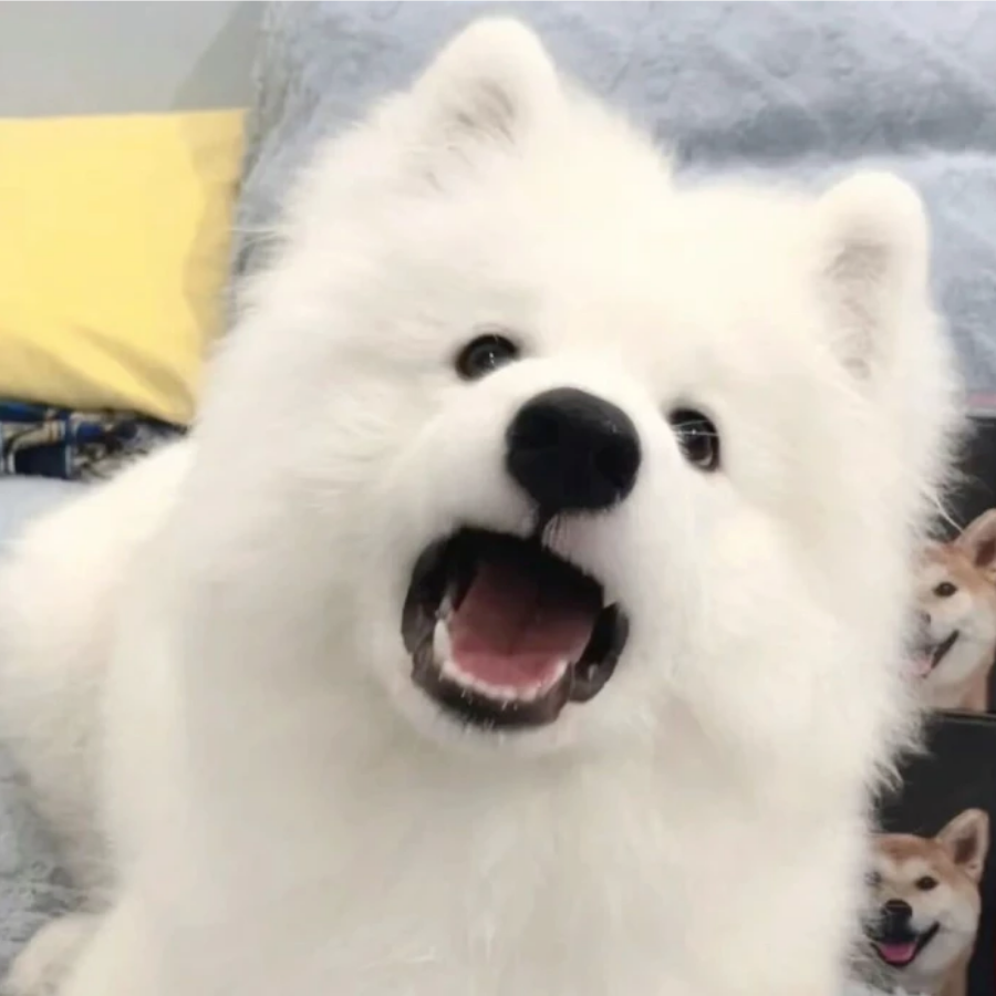 沈陌谙