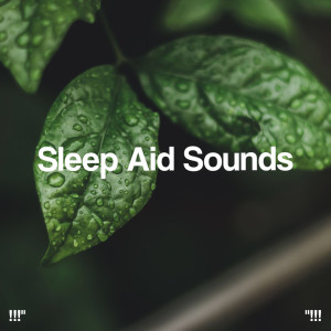 !!!" Sleep Aid Sounds "!!!