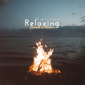 Listen to Morning Country song with lyrics from Sound Therapy Masters