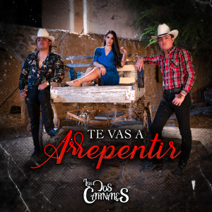 收听Los Dos Carnales的Te Vas a Arrepentir歌词歌曲