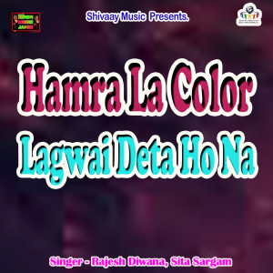 Listen to Hamra La Color Lagwai Deta Ho Na song with lyrics from Rajesh Diwana
