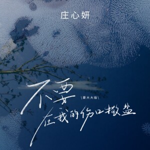 Album 不要在我的伤口撒盐(豪大大版) from Ada (庄心妍)