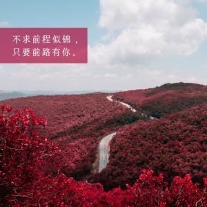 收听音素萱萱的四季予你（热播版）歌词歌曲