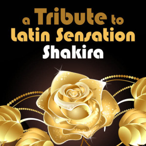 อัลบัม A Tribute to Latin Sensation Shakira ศิลปิน Deja Vu
