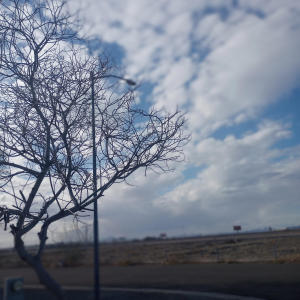 收聽Trance的i wanted to go to film school歌詞歌曲