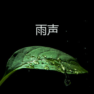 Album 雨声 (深度睡眠 助眠雨声 雨 白噪音) (Explicit) from 雨声