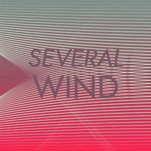 Album Several Wind oleh Group Star