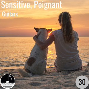 Album Sensitive Poignant 30 Guitars from Alan Paul Ett