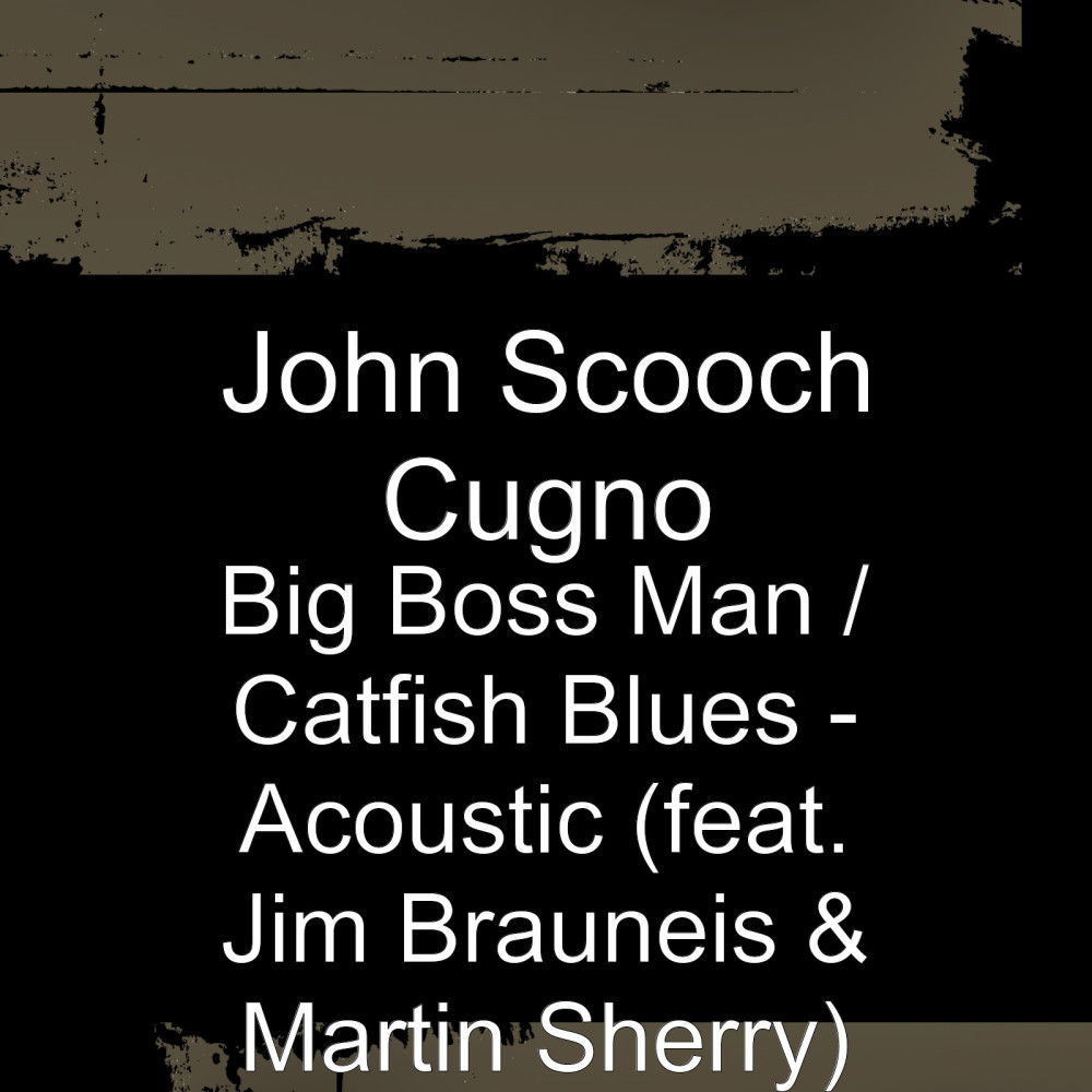 Big Boss Man / Catfish Blues (Acoustic) [feat. Jim Brauneis & Martin Sherry]