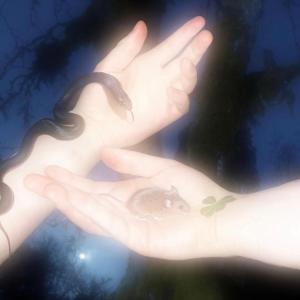 Listen to Welcome Midnight Club (ft.Yoanko Futura) (完整版) song with lyrics from WOFFYRICH