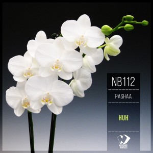 ดาวน์โหลดและฟังเพลง Huh พร้อมเนื้อเพลงจาก Pashaa