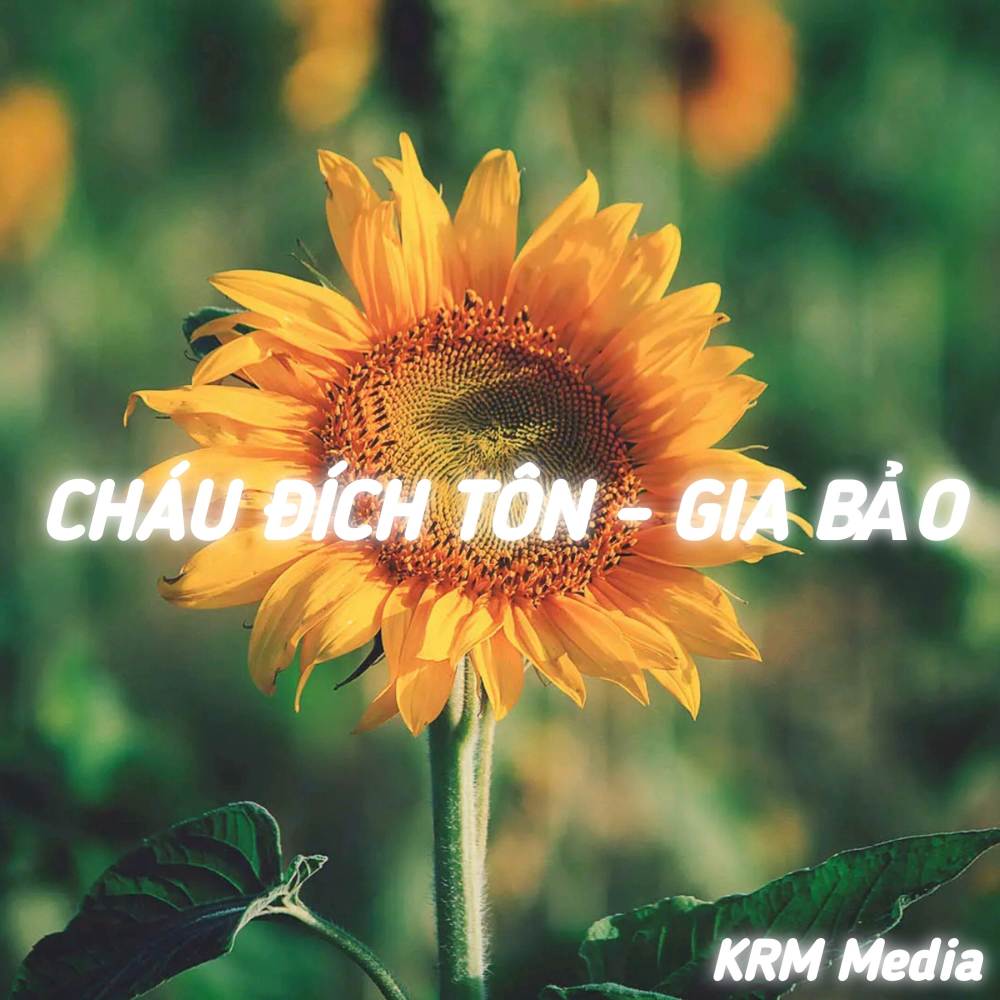 Cháu Đích Tôn