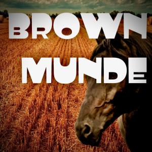 收聽Karan Singh的BROWN MUNDE歌詞歌曲