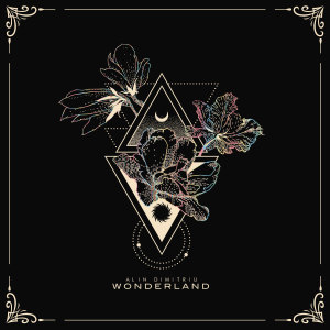 Alin Dimitriu的专辑Wonderland