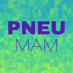 Listen to Pneu Mam song with lyrics from Davo Osmy