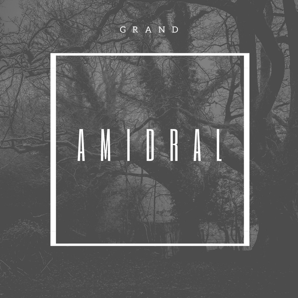 Amidral