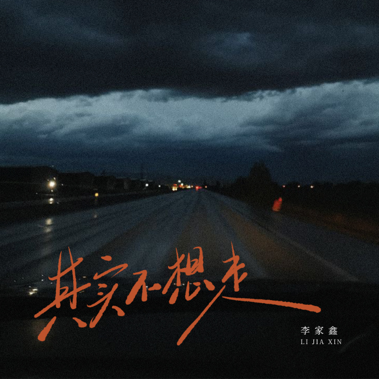 其实不想走 (DJ豪大大版)