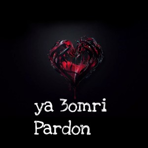 Listen to ya 3omri pardon song with lyrics from Dj Fouzi