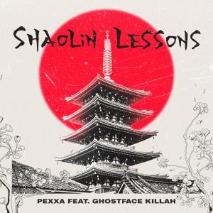 SHAOLIN LESSONS (feat. Ghostface Killah) [Explicit]