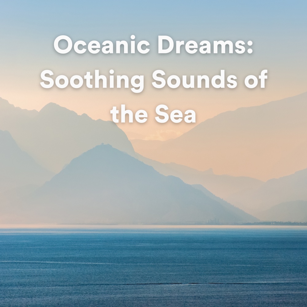 Swimming with Dolphins and Whales