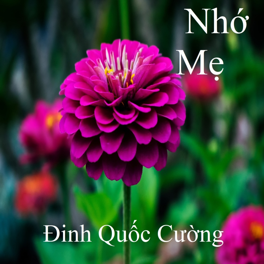 Sa mưa giông 2