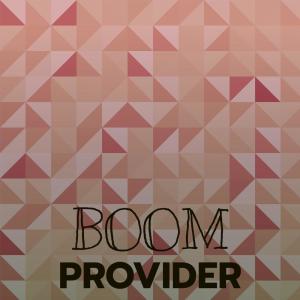 Various Artists的專輯Boom Provider