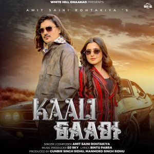 Amit Saini Rohtakiya的专辑Kaali Gaadi