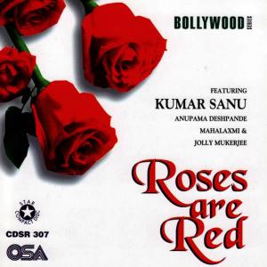ดาวน์โหลดและฟังเพลง Teri Mohabbat Ne พร้อมเนื้อเพลงจาก Kumar Sanu